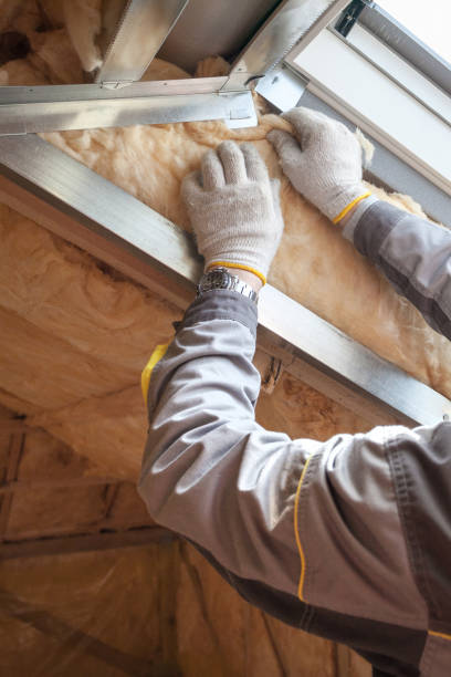 Types of Insulation We Offer in Elizabethton, TN