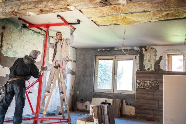 Best Eco-Friendly Insulation in Elizabethton, TN