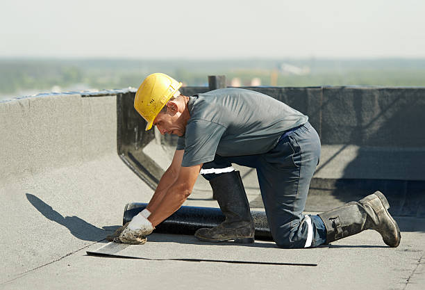 Best DIY Insulation Kits and Guidance in Elizabethton, TN