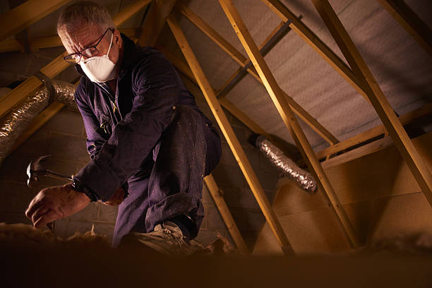 Best Cellulose Insulation in Elizabethton, TN